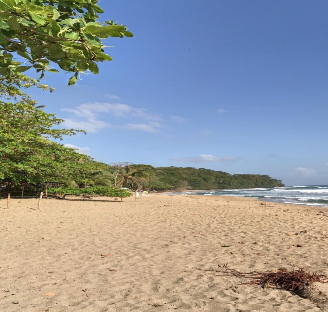 Finca Sixaola