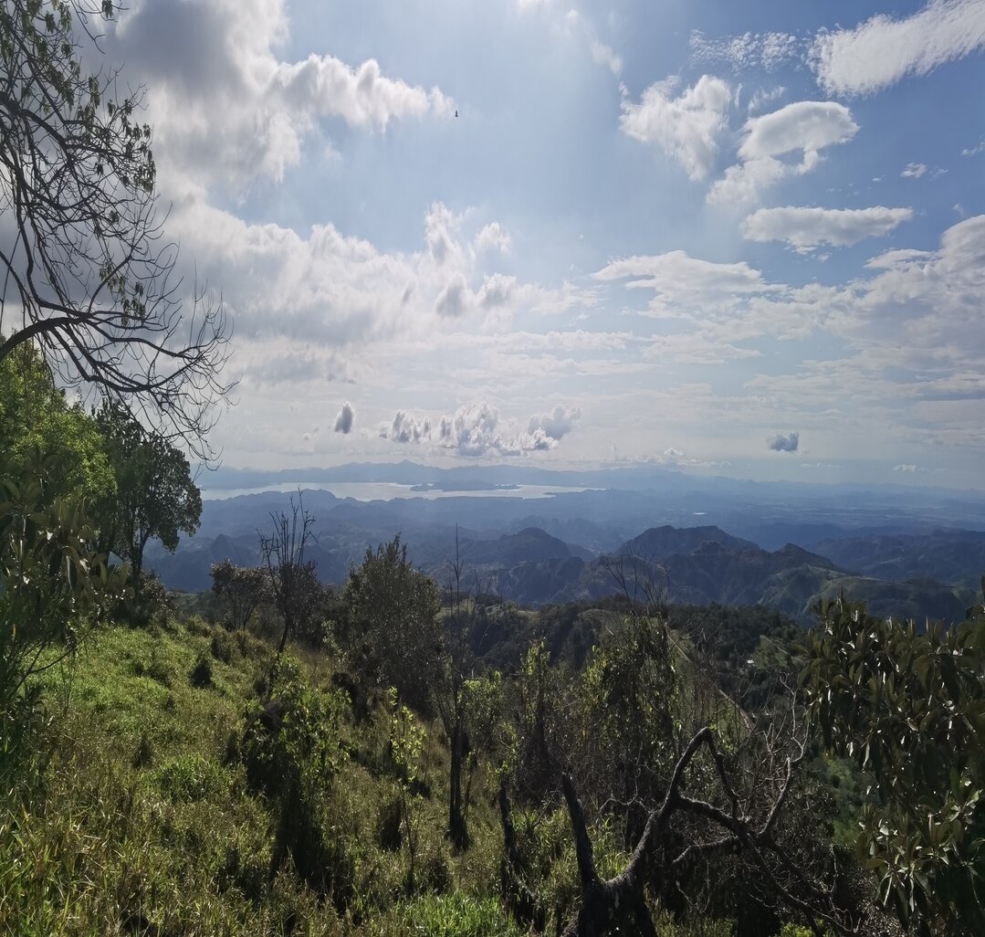 Monteverde landscape view