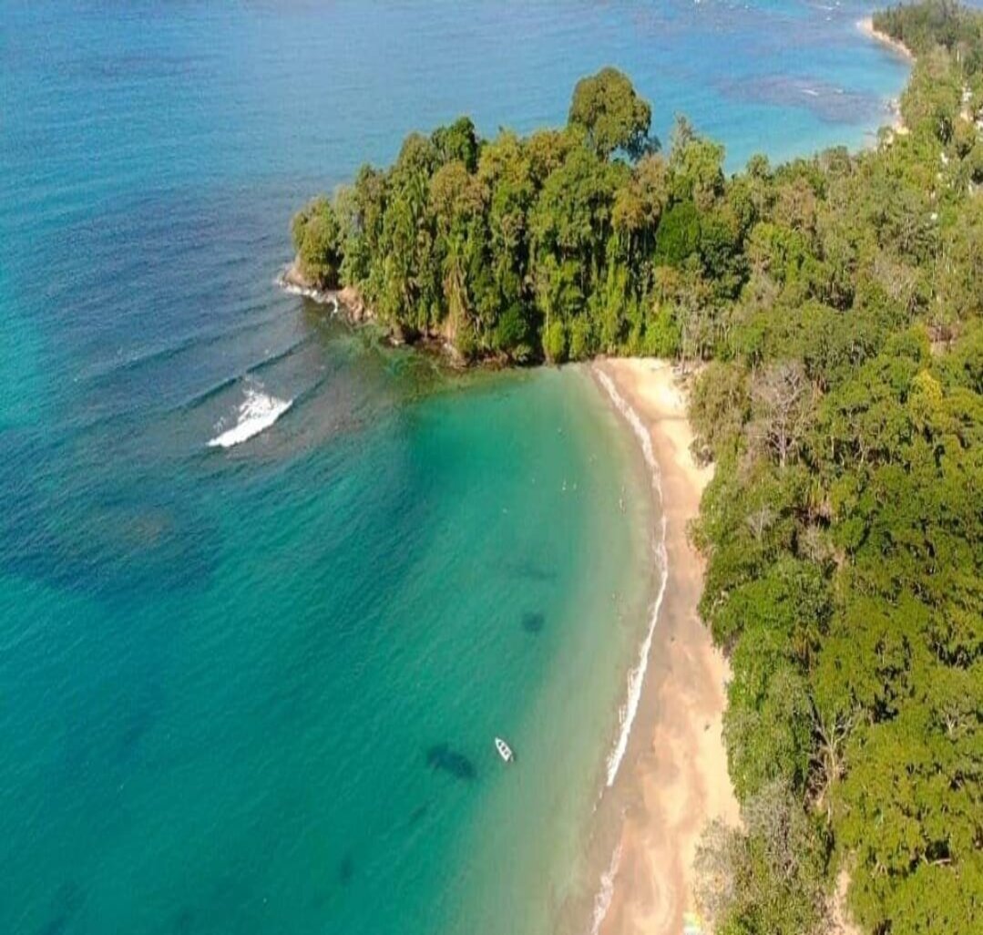 Punta Uva